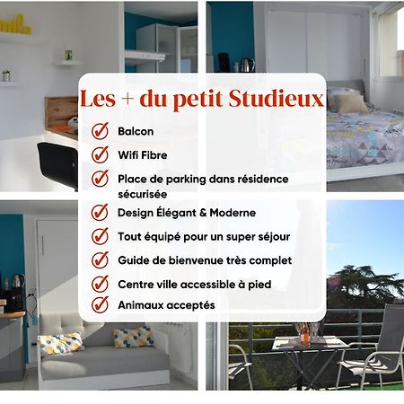 Le Petit Studieux - Parking - Animaux Acceptes - Centre Ville Accessible A Pied Albi Eksteriør billede