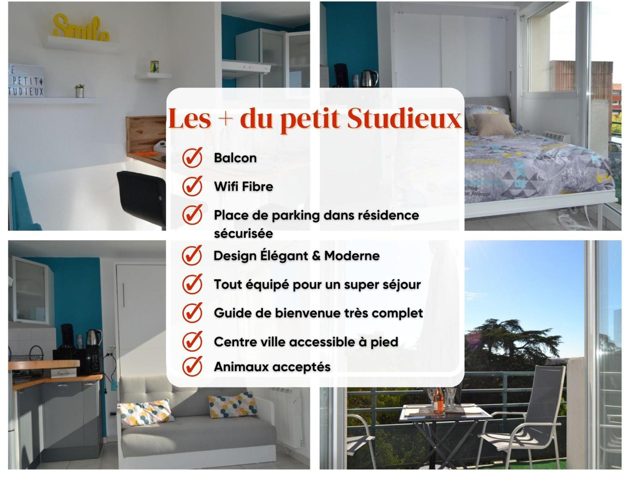 Le Petit Studieux - Parking - Animaux Acceptes - Centre Ville Accessible A Pied Albi Eksteriør billede