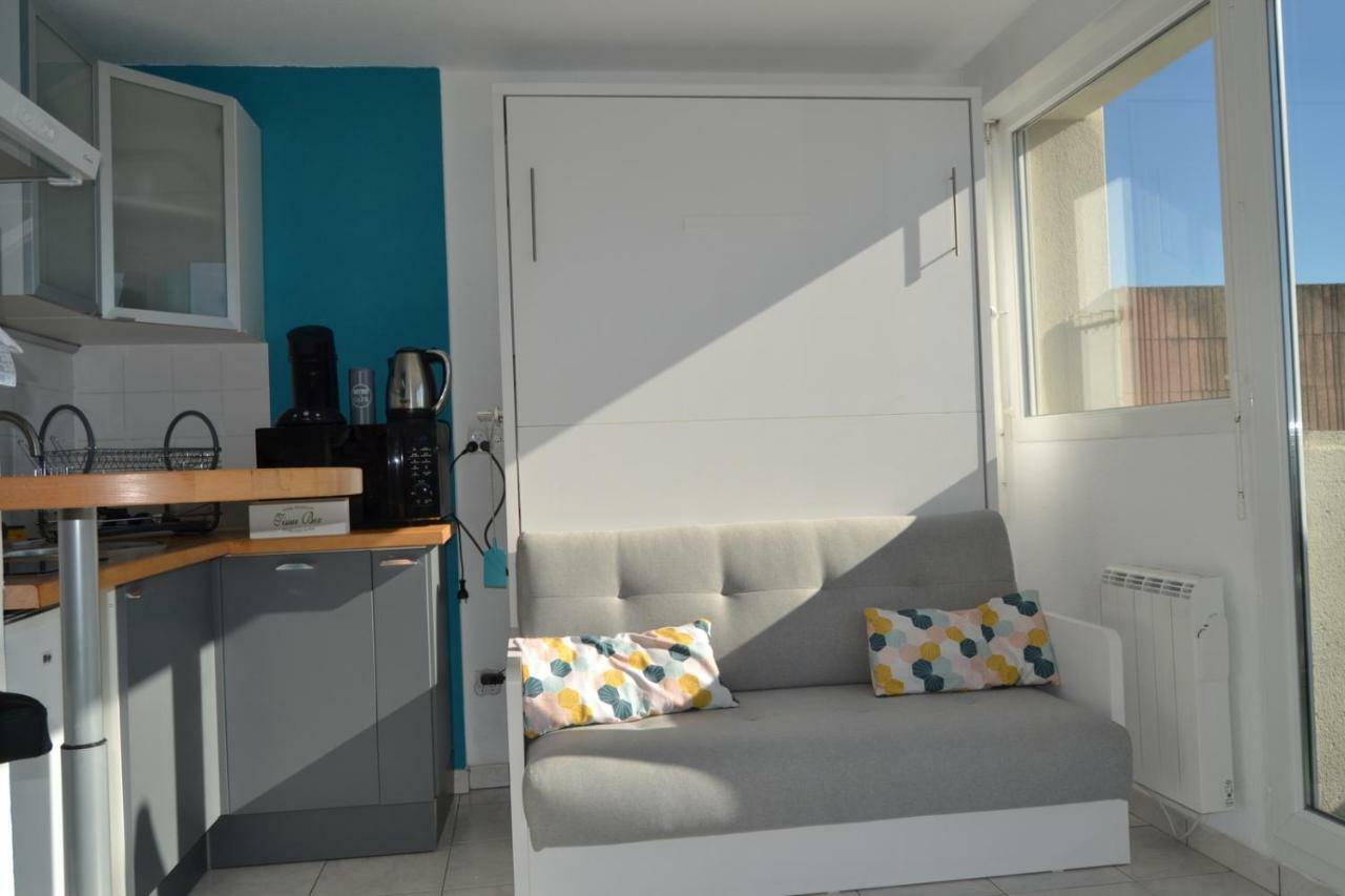 Le Petit Studieux - Parking - Animaux Acceptes - Centre Ville Accessible A Pied Albi Eksteriør billede
