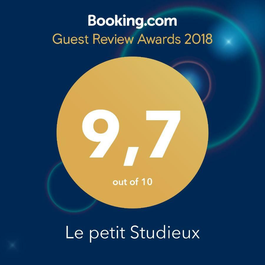 Le Petit Studieux - Parking - Animaux Acceptes - Centre Ville Accessible A Pied Albi Eksteriør billede
